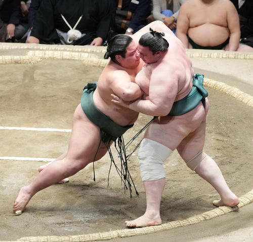 錦木（左）は碧山を押し出しで破る（撮影・小沢裕）