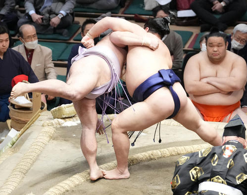 平戸海（右）は琴恵光を寄り切りで破る（撮影・小沢裕）