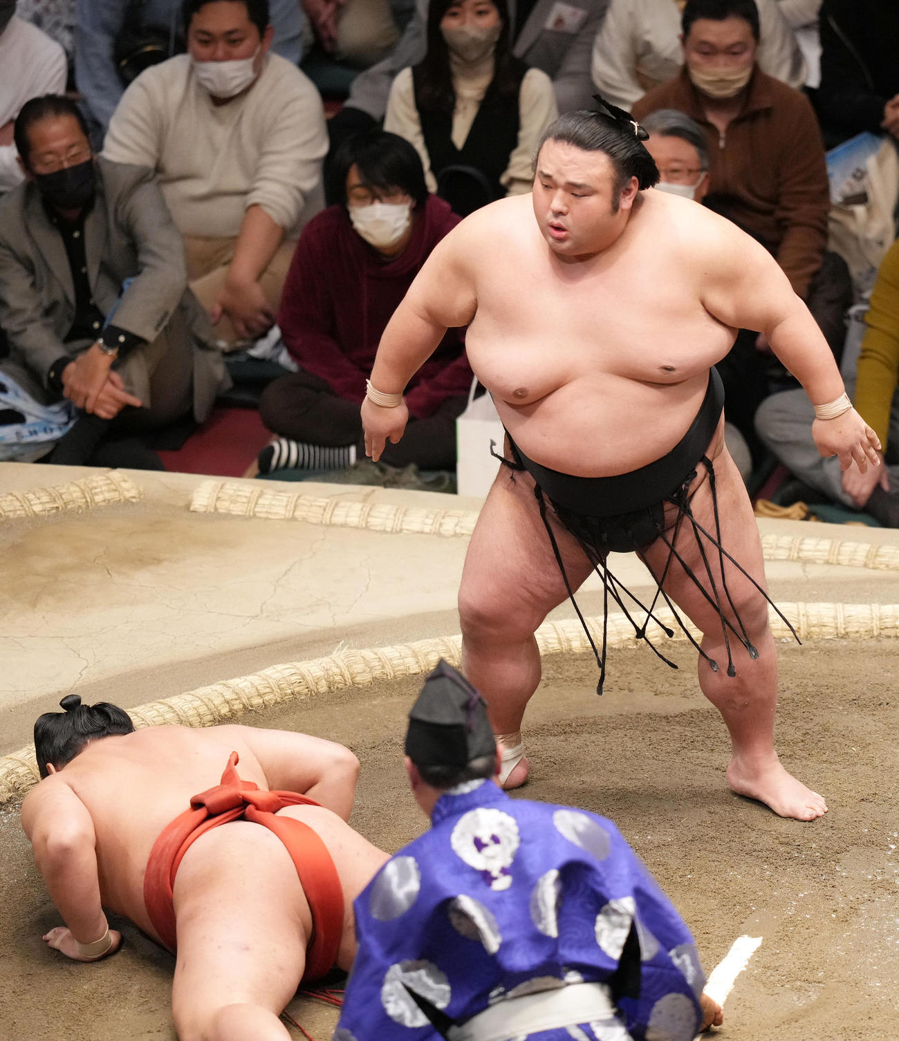豊昇龍（左）をはたき込みで破る貴景勝（撮影・狩俣裕三）