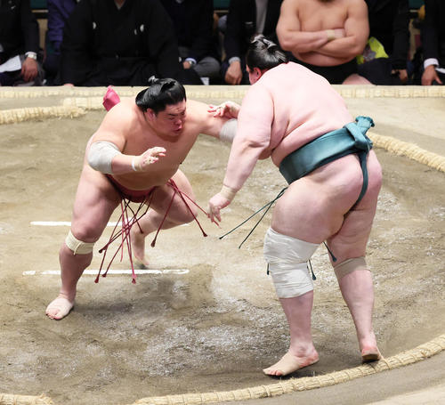 碧山(右)を押し出しで破る大栄翔(撮影・足立雅史)