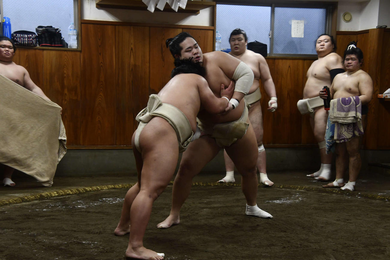 翠富士と相撲を取る錦富士（撮影・平山連）