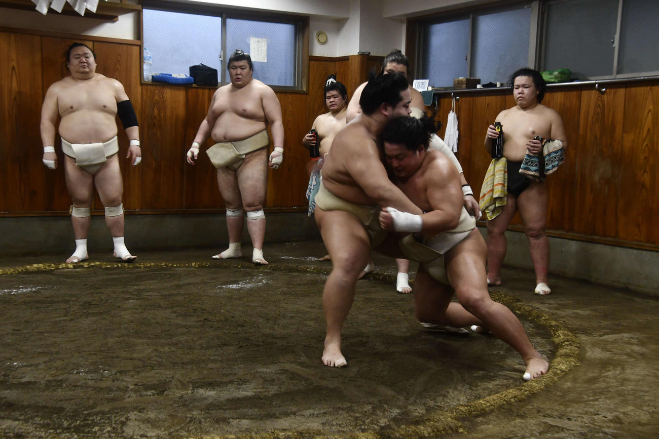 錦富士と相撲を取る翠富士（撮影・平山連）