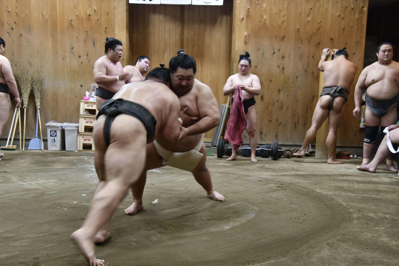 胸を出す徳勝龍（撮影・平山連）