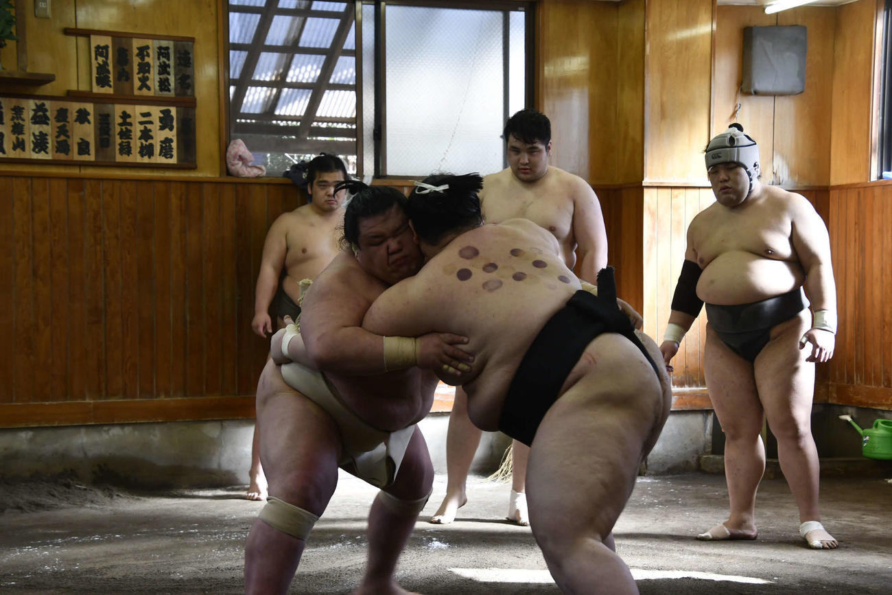 申し合い稽古に参加した阿武咲(撮影・平山連)