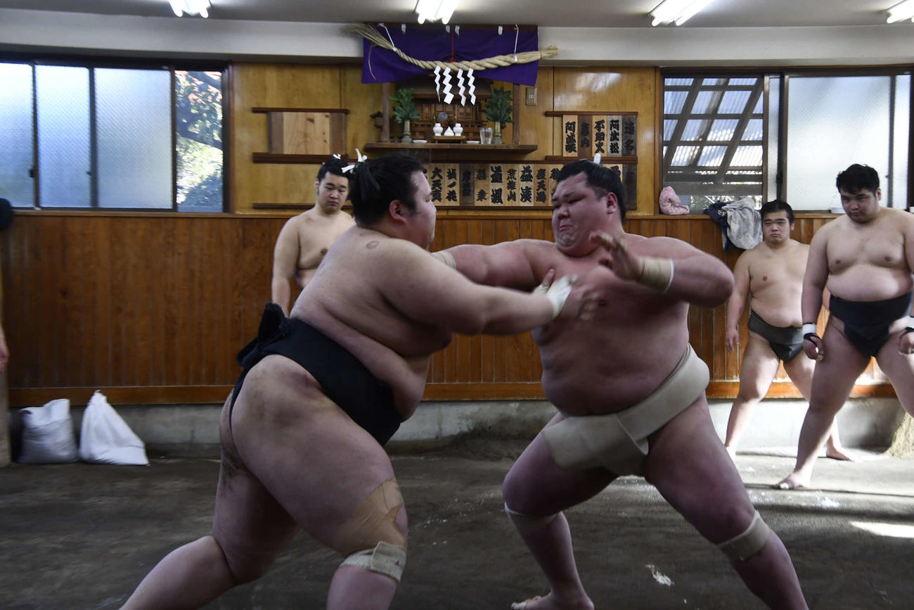 申し合い稽古に参加した阿武咲（撮影・平山連）