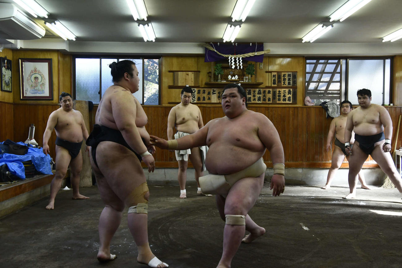 稽古に参加した阿武咲（撮影・平山連）