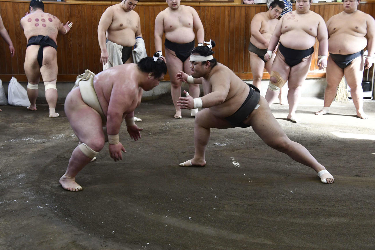 若い衆の胸を借りて、ぶつかる阿武咲（撮影・平山連）