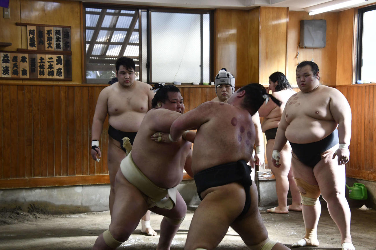 申し合い稽古に参加した阿武咲（撮影・平山連）