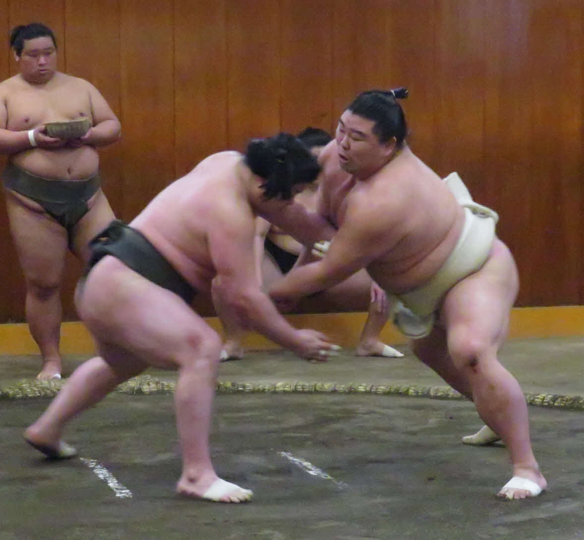 朝稽古で若い衆と相撲を取る正代（手前右）