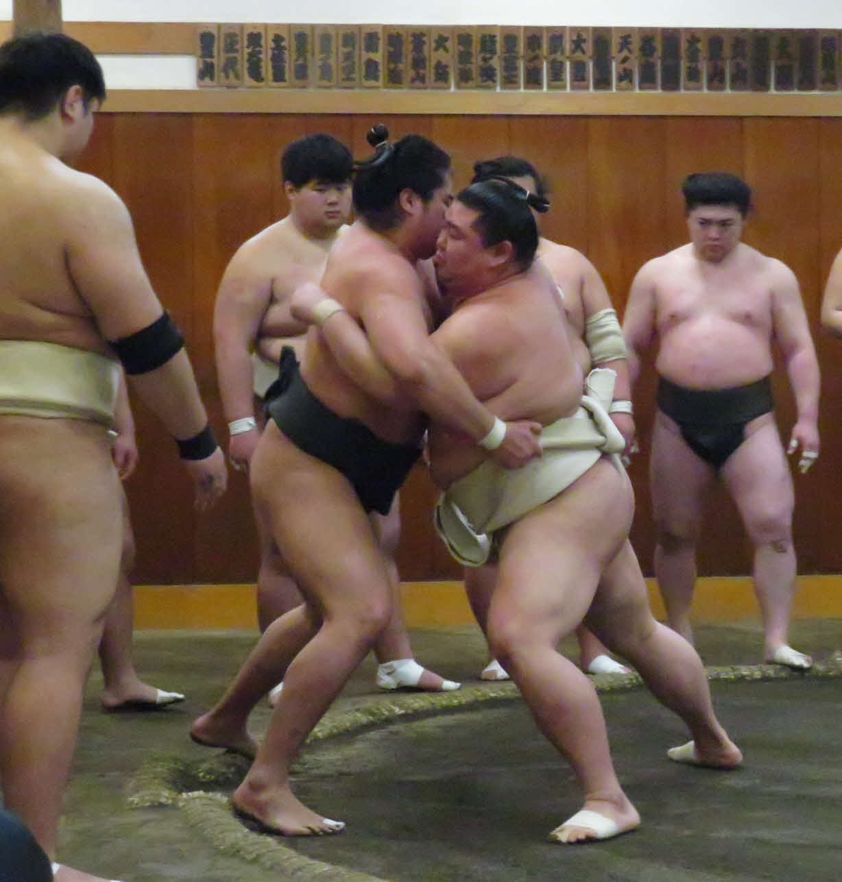 朝稽古で若い衆を寄り切る正代（手前右）