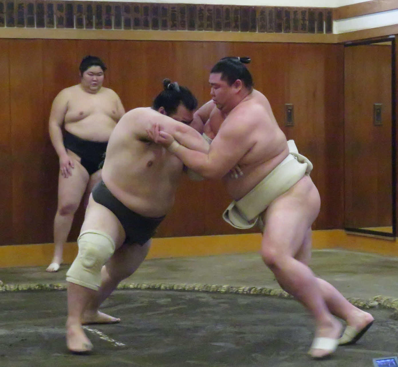 朝稽古で若い衆と相撲を取る正代（手前右）