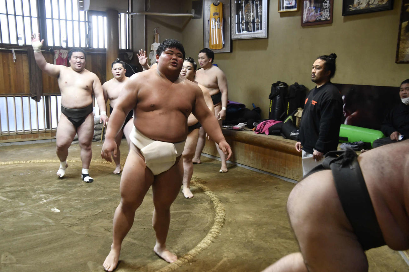 稽古場で初めて白まわしを締めた新十両の落合（撮影・平山連）