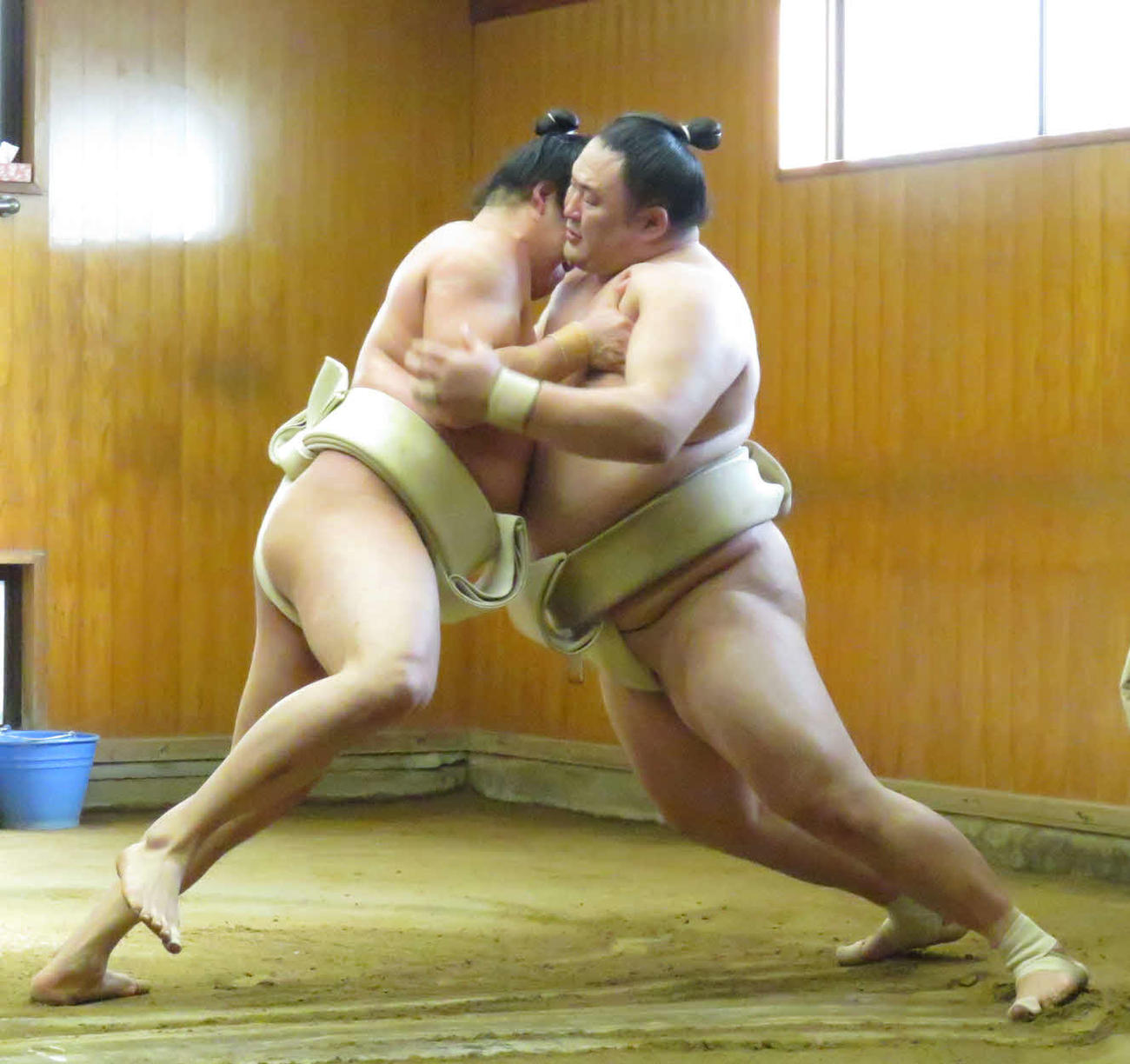 ぶつかり稽古で新十両の玉正鳳（左）に胸を出した玉鷲