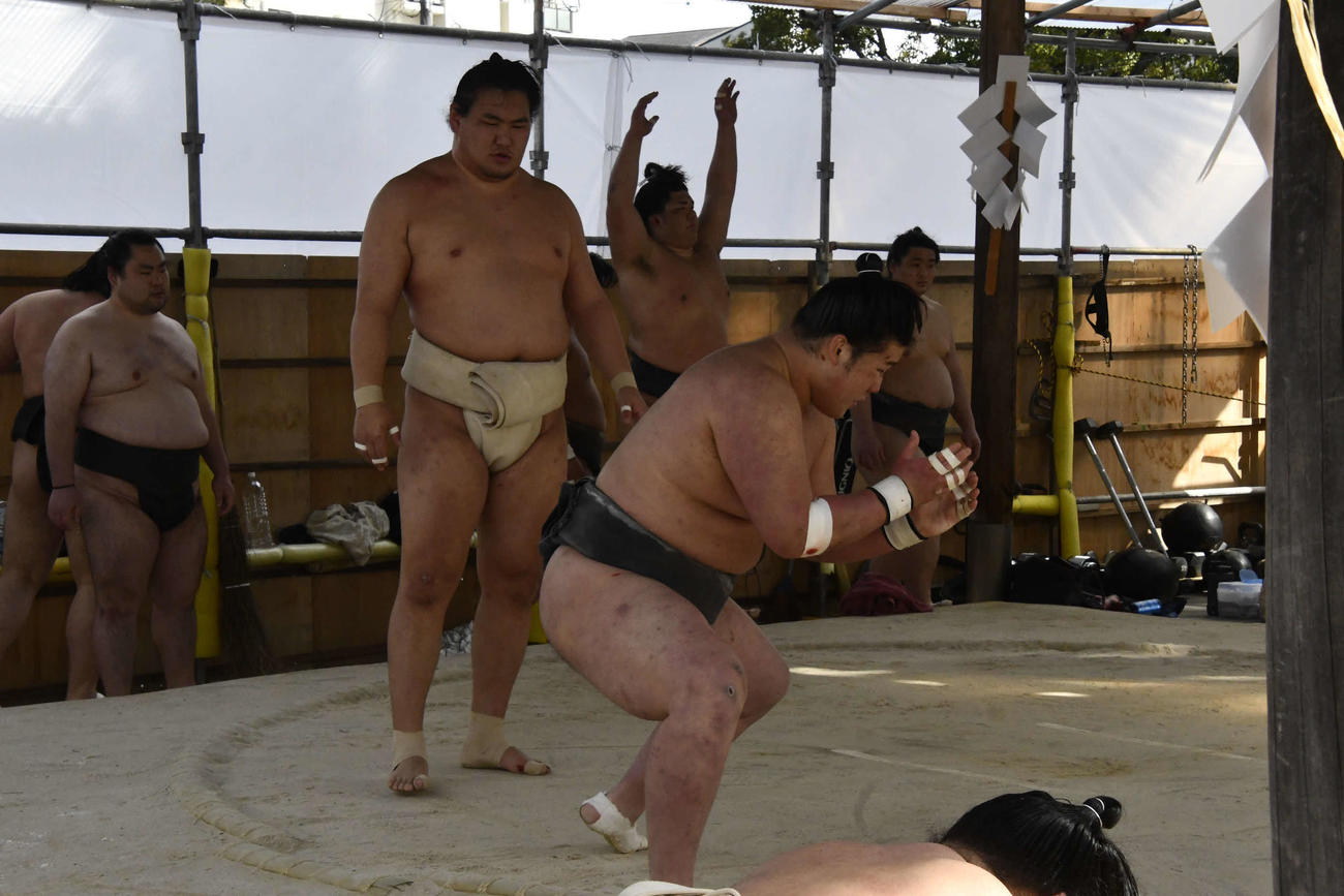 若い衆の稽古を見つめる豊昇龍（撮影・平山連）