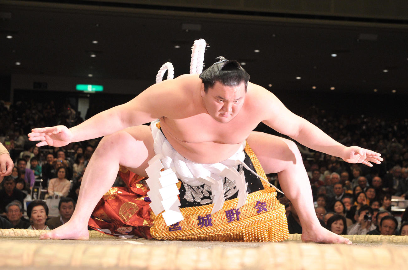 横綱白鵬の土俵入り（2013年1月19日撮影）