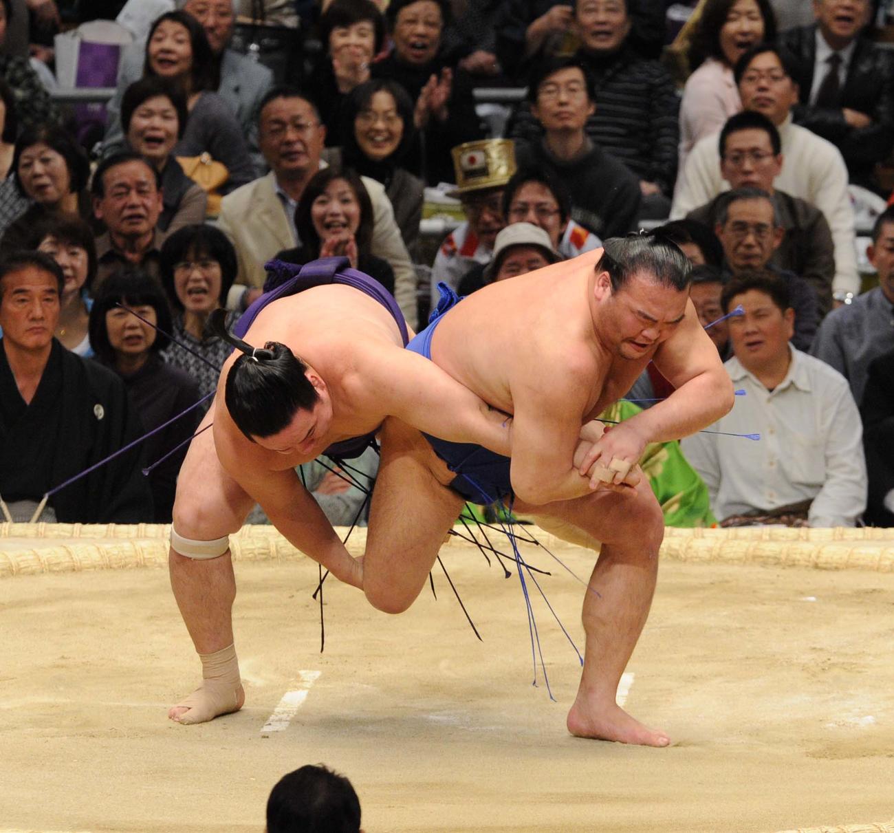 【小褄取り】白馬（左）は高見盛の右足を持って決める小褄取りで高見盛を降した（2010年3月22日撮影）