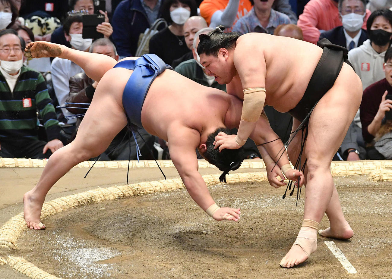 はたき込みで若隆景（左）を破る阿炎（撮影・岩下翔太）