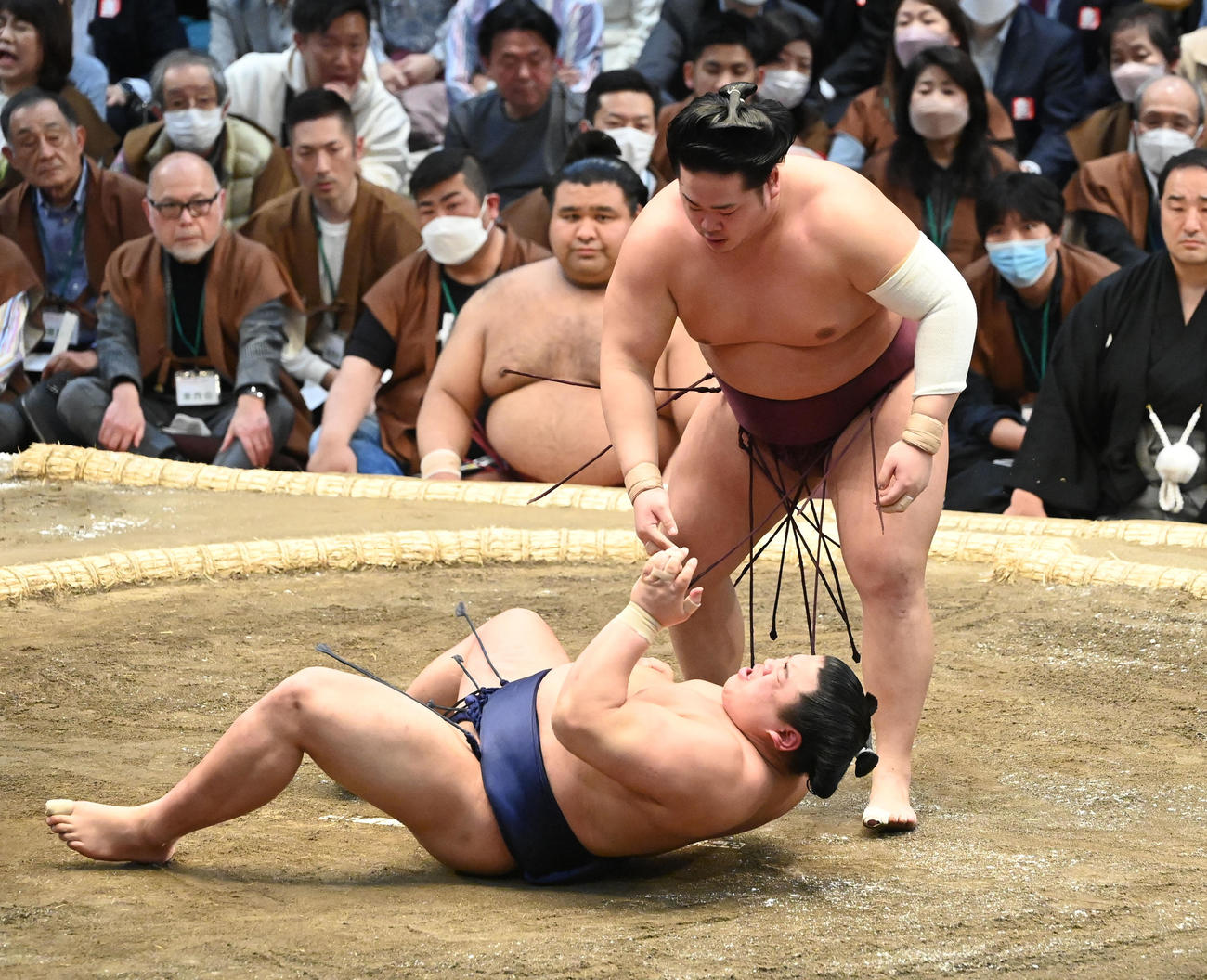 東龍（左）を押し出しで破る輝（撮影・和賀正仁）