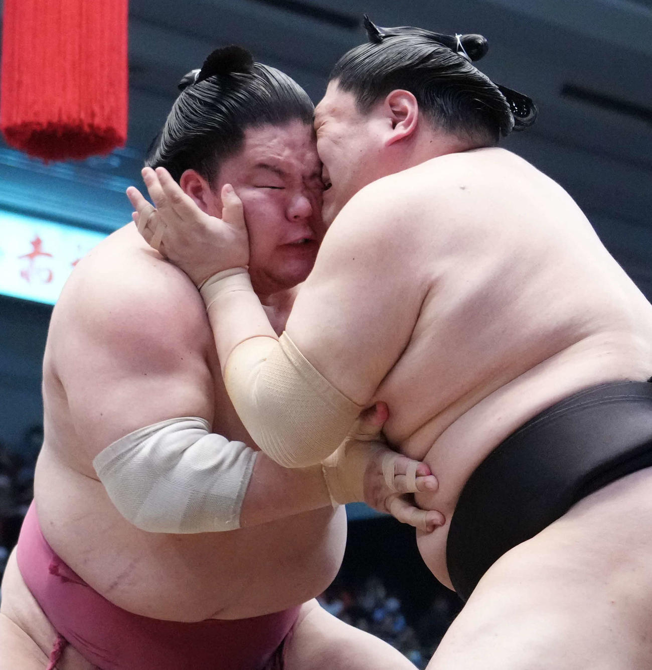大栄翔（左）は阿炎と顔面をぶつけ合いながら土俵際へ攻め込む（撮影・小沢裕）
