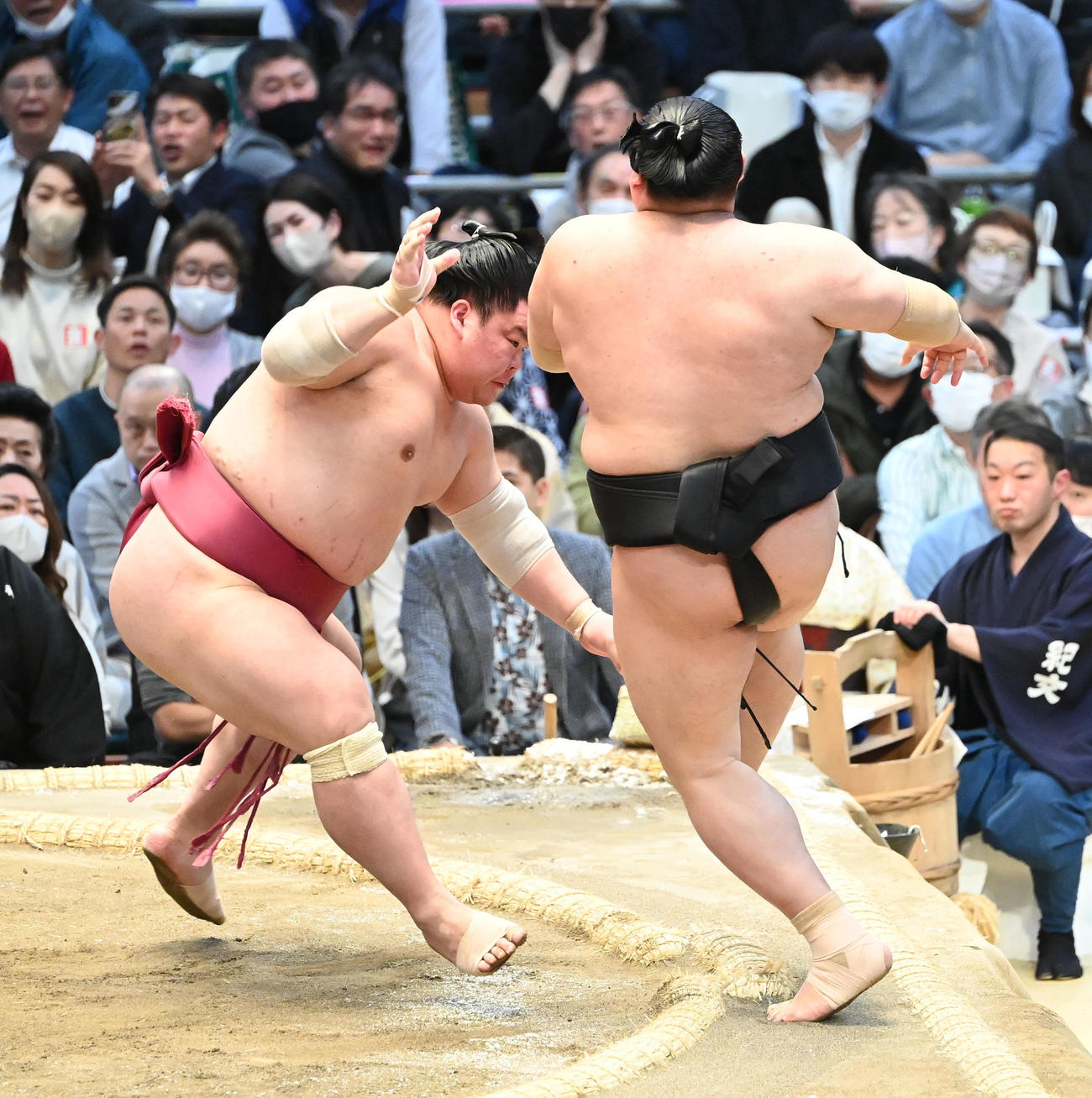大栄翔（左）は押し出しで阿炎を破る（撮影・和賀正仁）