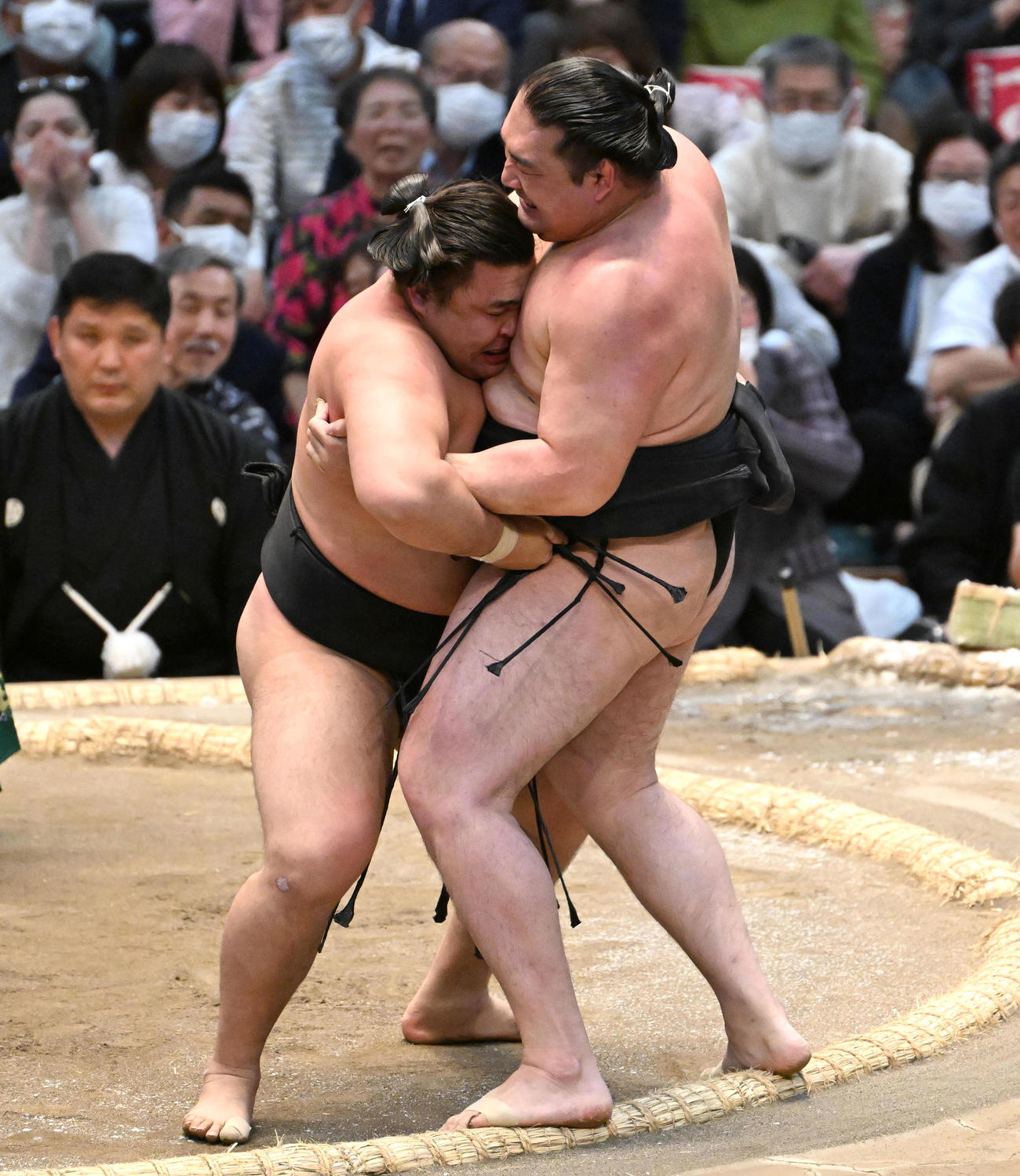 霧馬山（左）は寄り切りで竜電を破る（撮影・石井愛子）