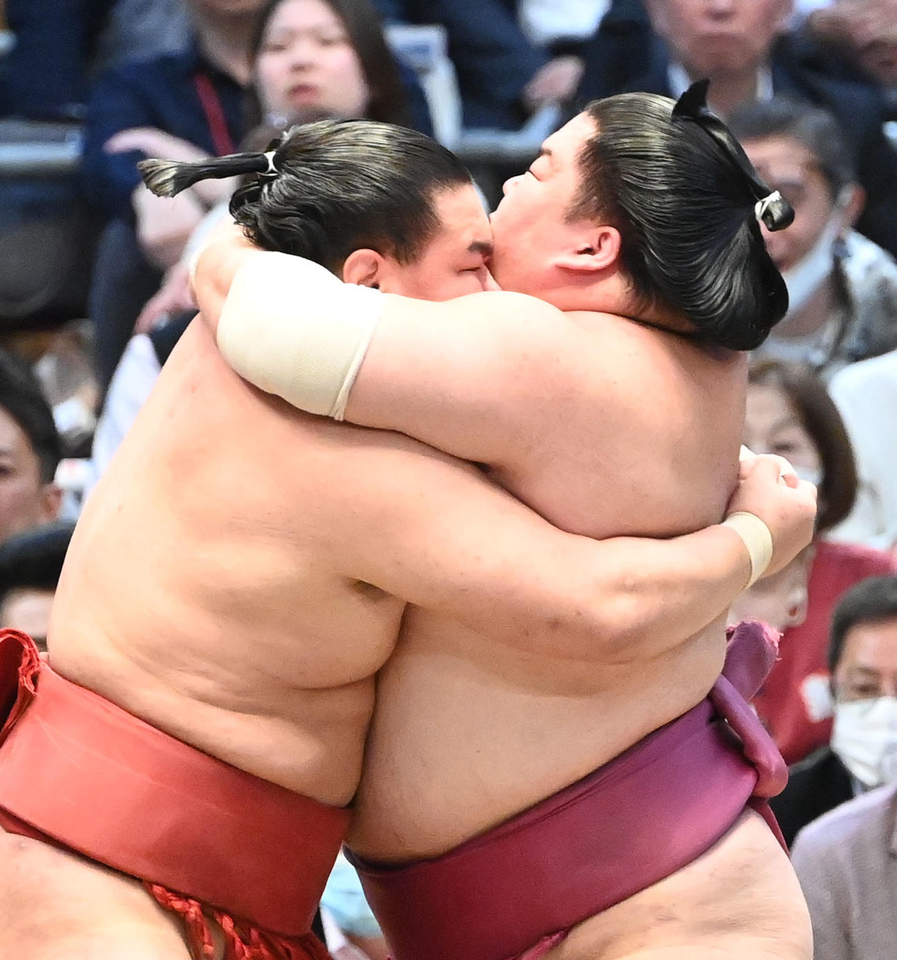 大栄翔（右）を寄り切りで破る豊昇龍（撮影・和賀正仁）