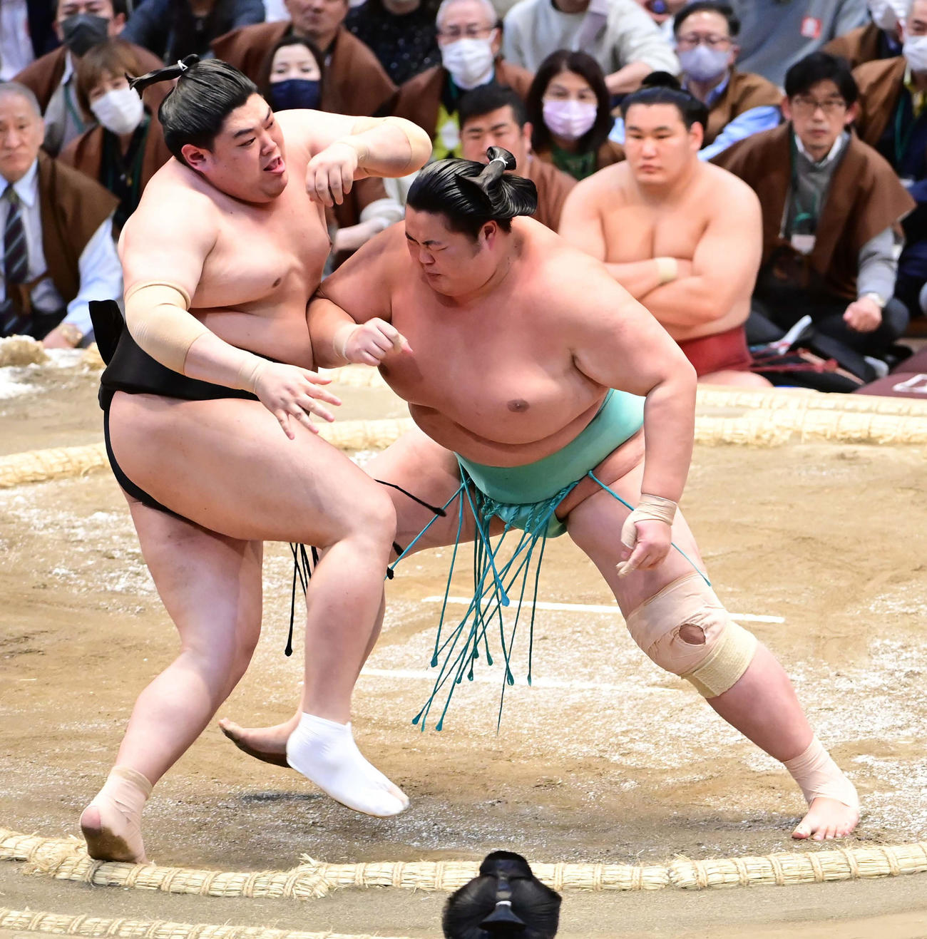 琴ノ若（右）は阿炎を押し倒しで破る（撮影・小沢裕）
