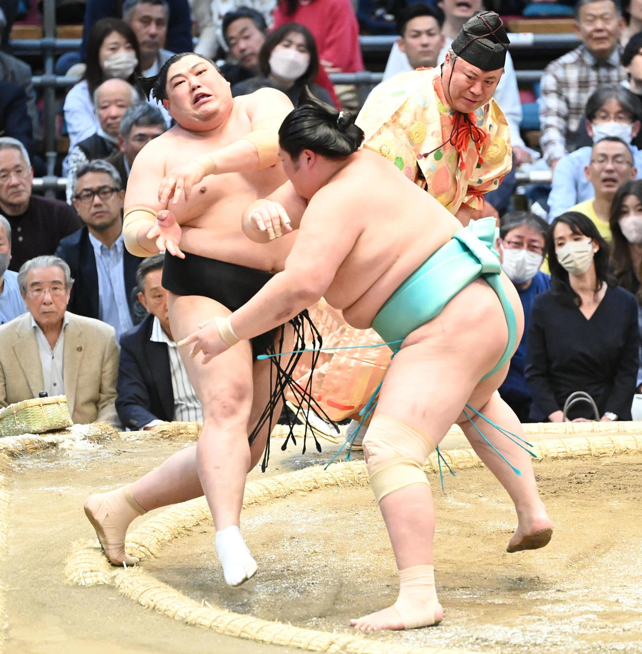 阿炎（左）を押し倒しで破る琴ノ若（撮影・和賀正仁）