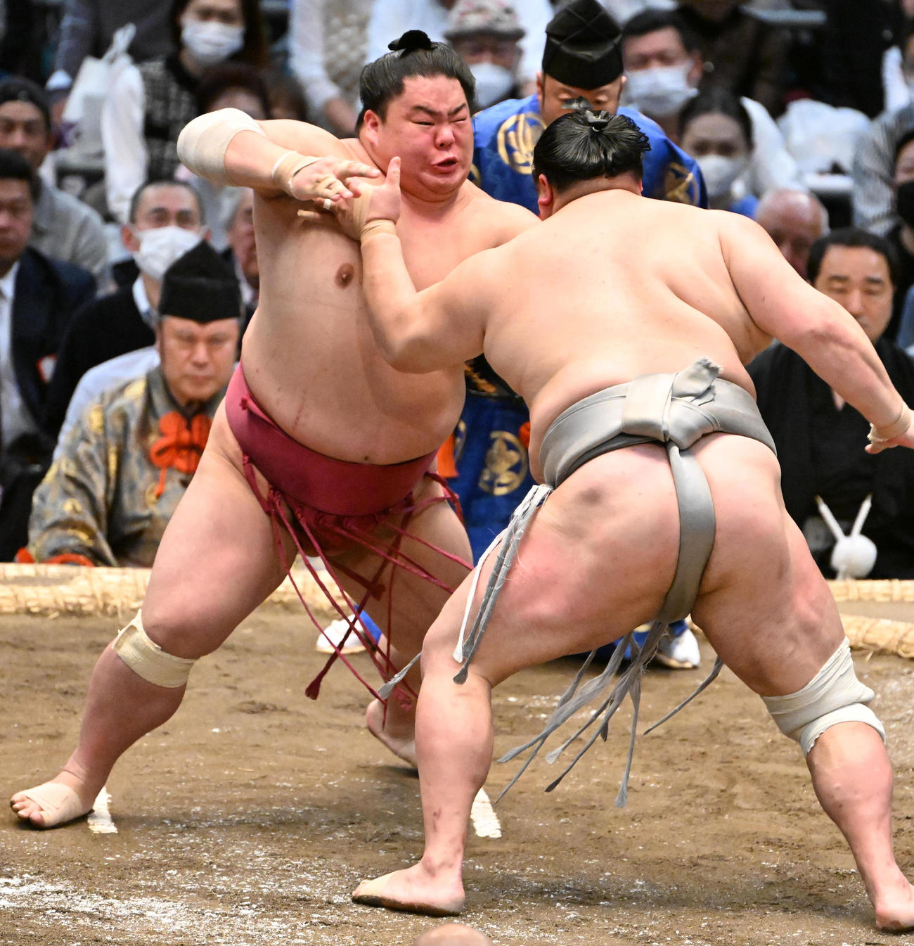 大栄翔（左）は突き出しで北勝富士を破る（撮影・石井愛子）