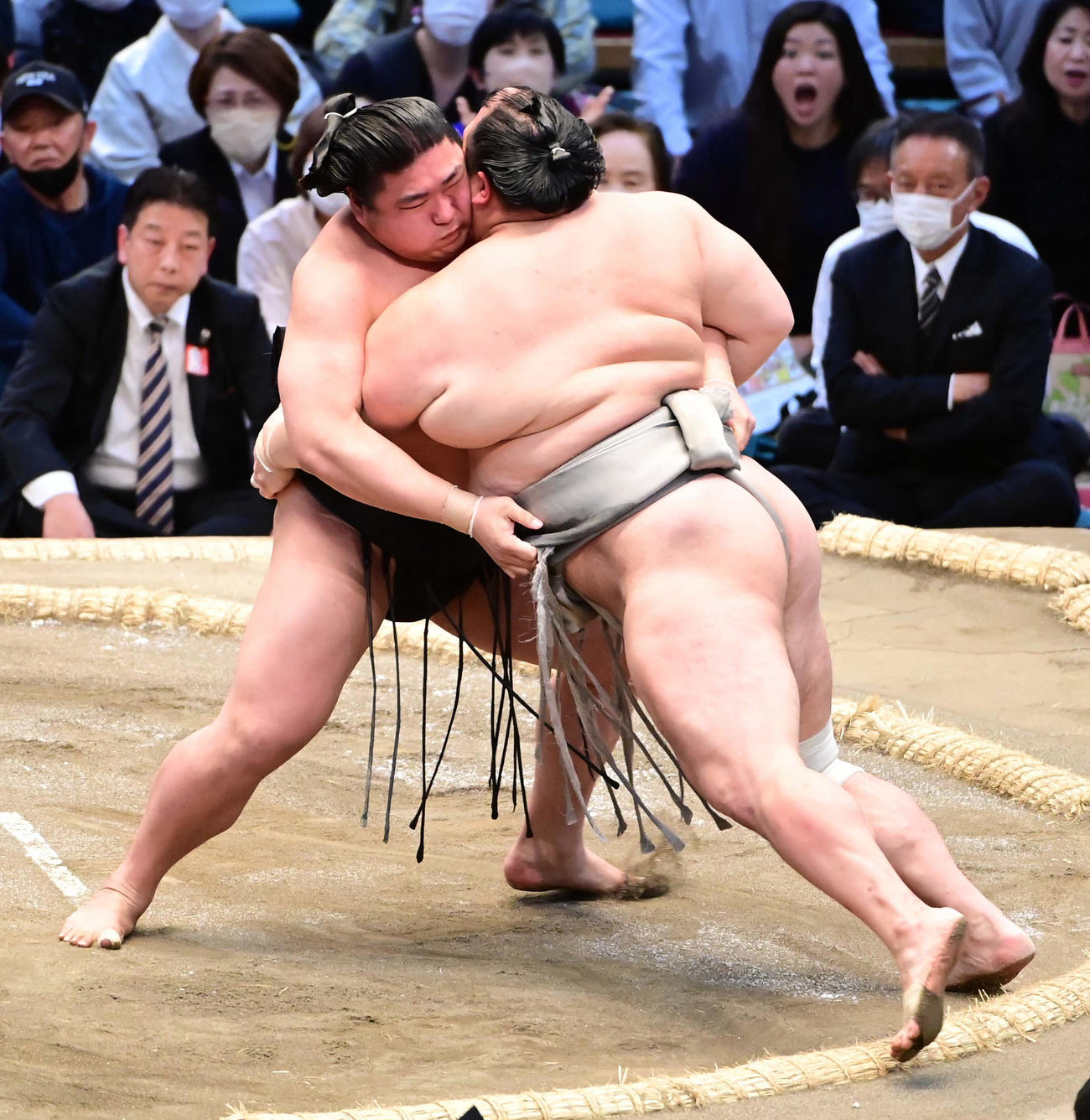 若元春（左）は北勝富士を寄り切りで破る（撮影・小沢裕）