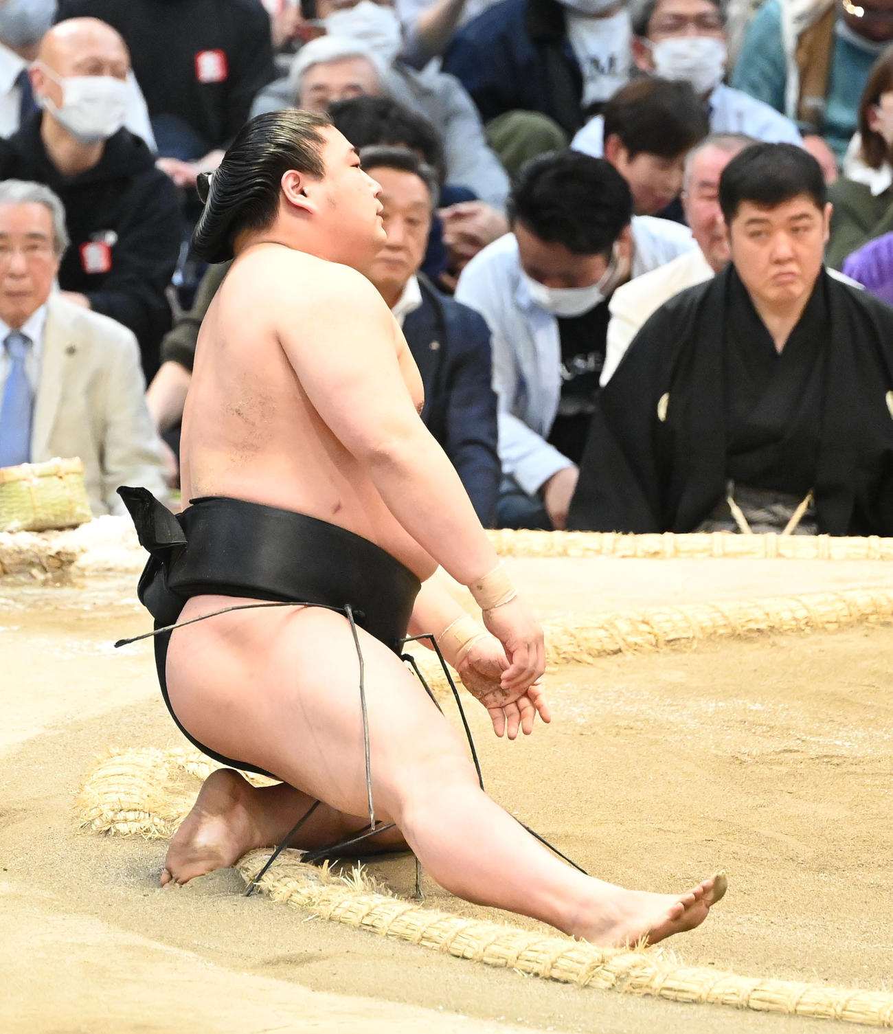 豊昇龍に敗れた若元春（撮影・和賀正仁）
