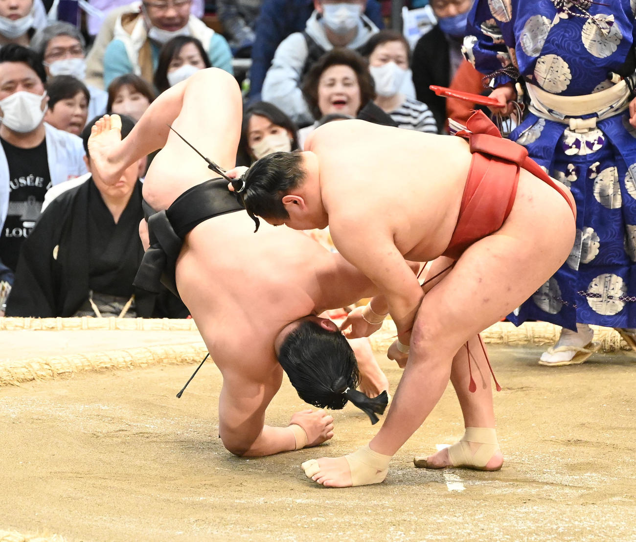 若元春（奥）を上手投げで破る豊昇龍（撮影・和賀正仁）