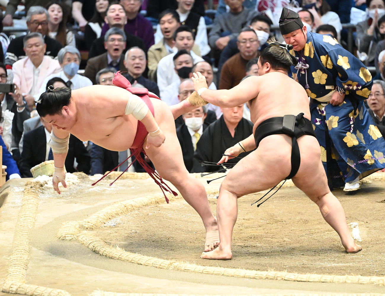 霧馬山（右）は突き落としで大栄翔を破（撮影・和賀正仁）