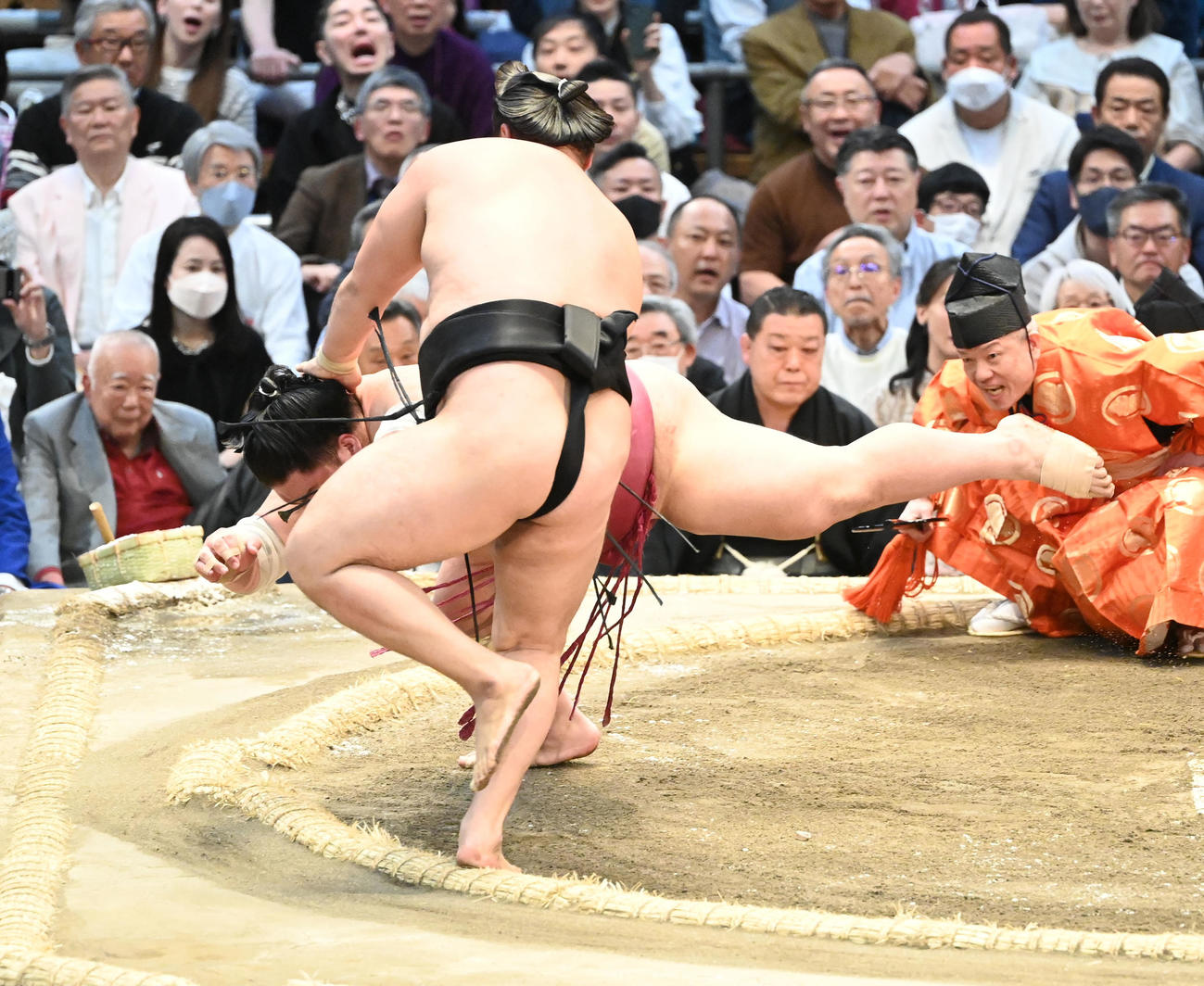 霧馬山（右）は突き落としで大栄翔を破（撮影・和賀正仁）