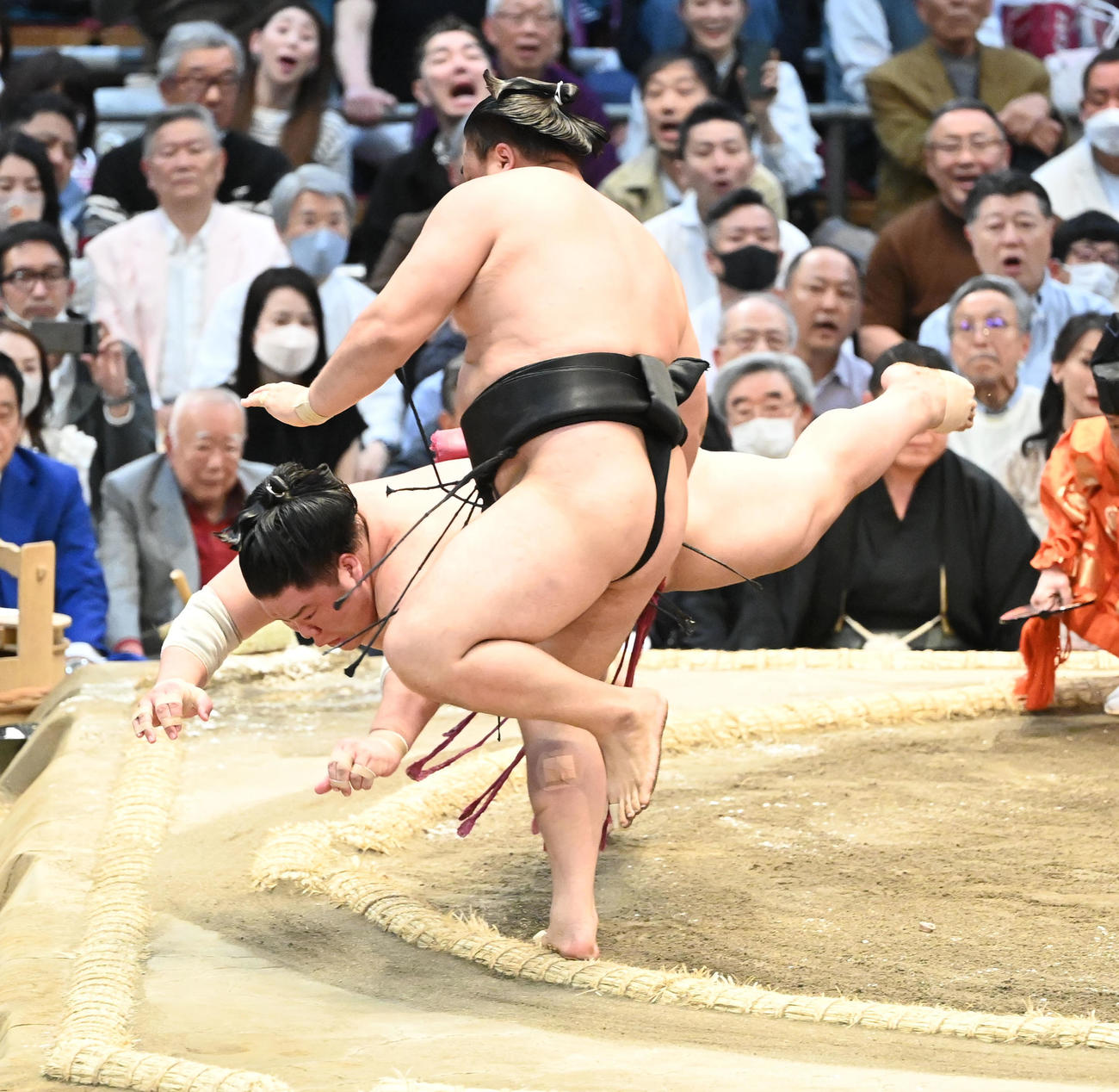 霧馬山（右）は突き落としで大栄翔を破（撮影・和賀正仁）
