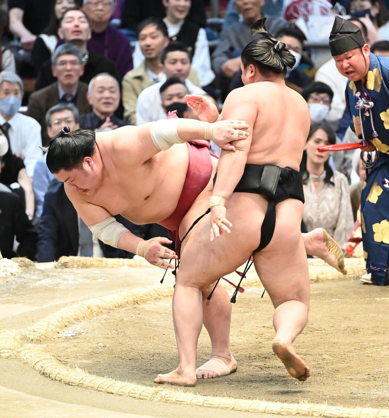 本割で霧馬山（右）に突き落とされる大栄翔（撮影・和賀正仁）
