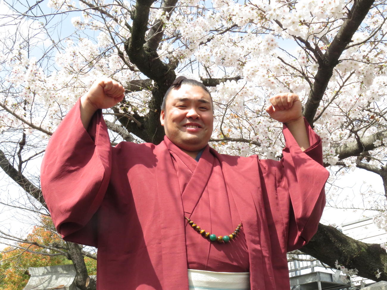 桜を背に笑顔でガッツポーズをつくる霧馬山