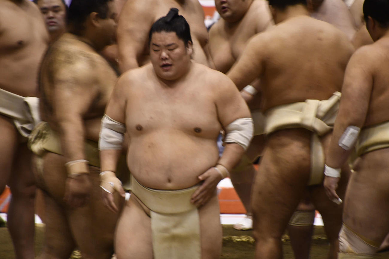 稽古に参加した大栄翔（撮影・平山連）
