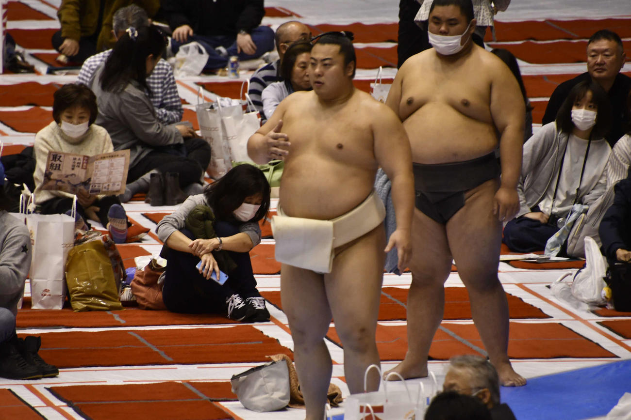 稽古に参加した翔猿（撮影・平山連）