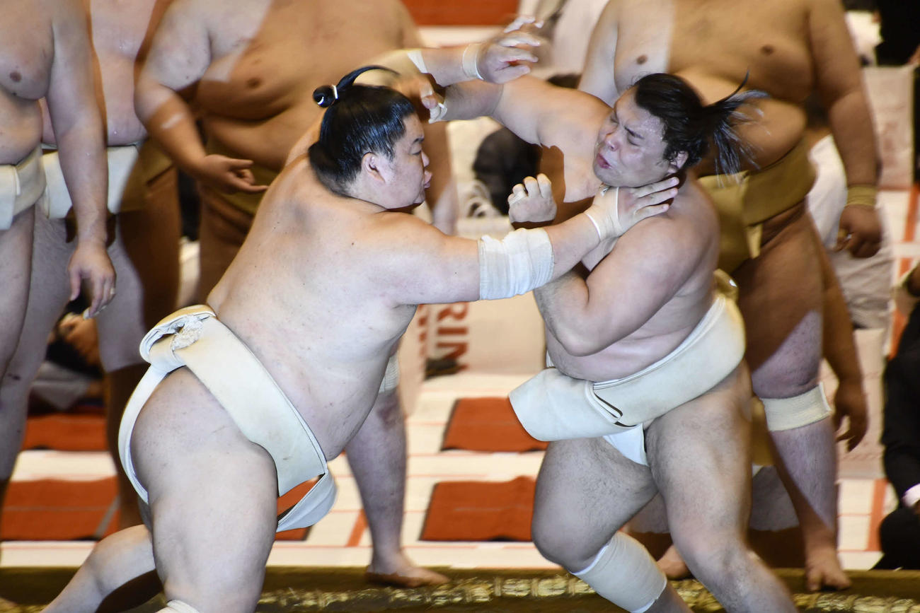 大栄翔と相撲を取る霧馬山（撮影・平山連）