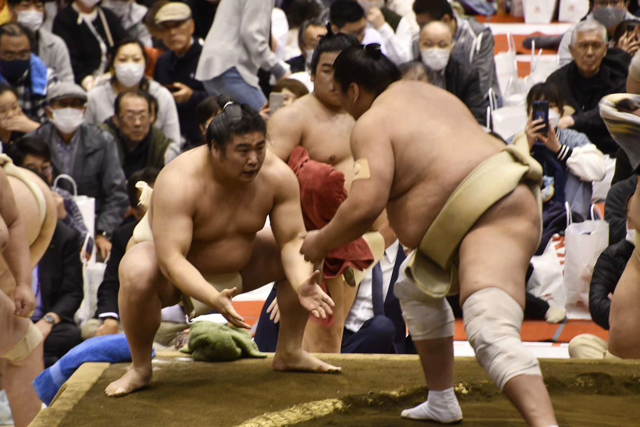 横綱照ノ富士の胸を借りてぶつかり稽古を行う若元春（撮影・平山連）