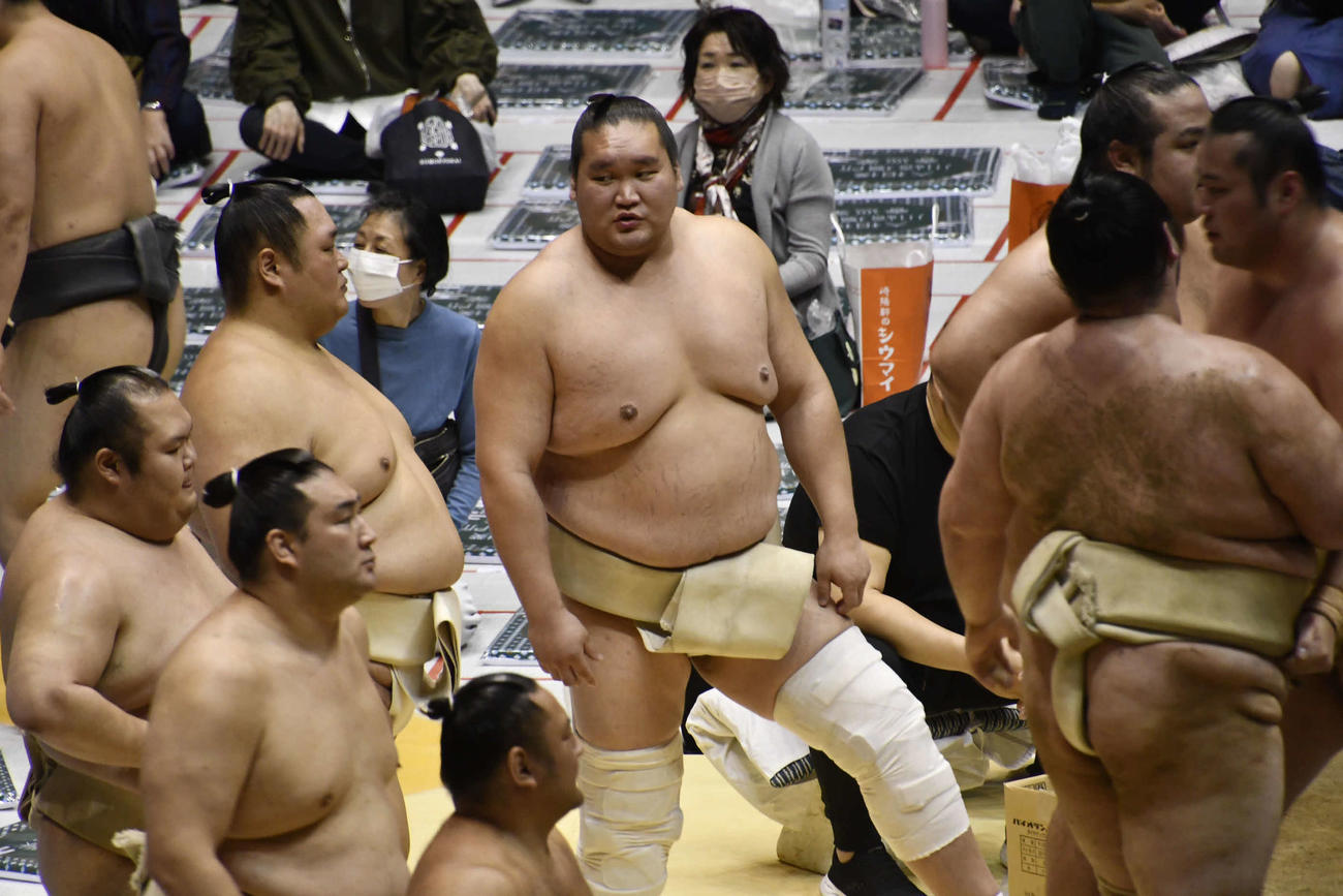 友風と話し込む横綱照ノ富士（撮影・平山連）