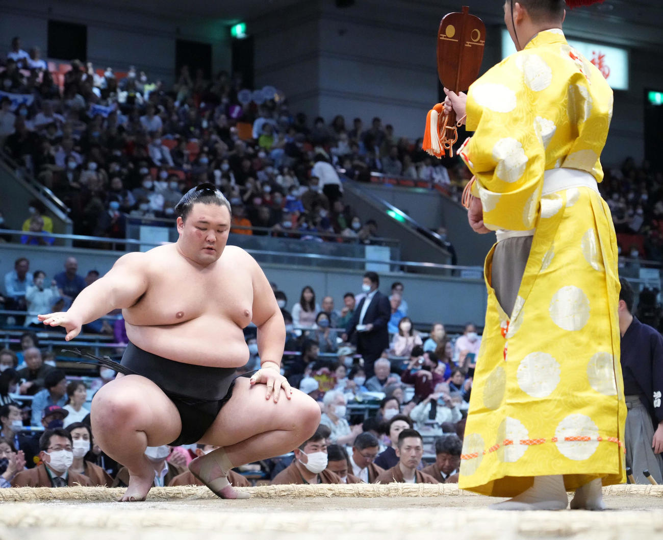 朝乃山（2023年3月20日撮影）