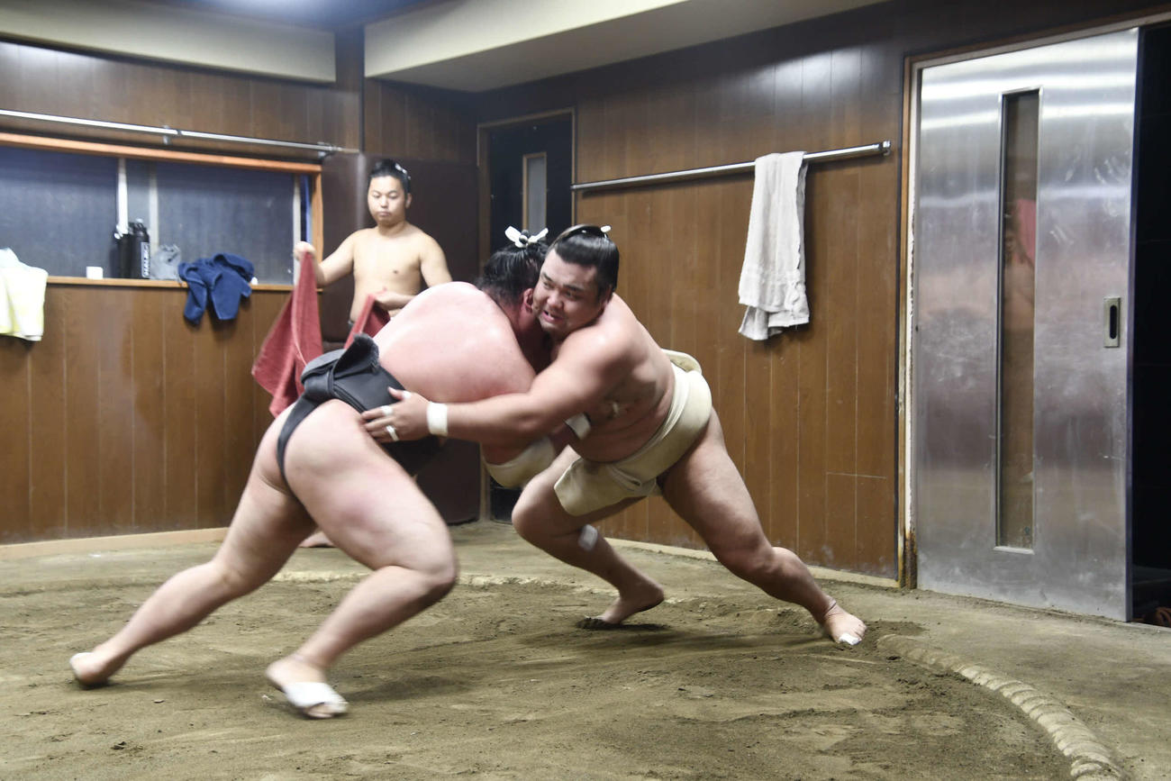 相撲を取る霧馬山（撮影・平山連）
