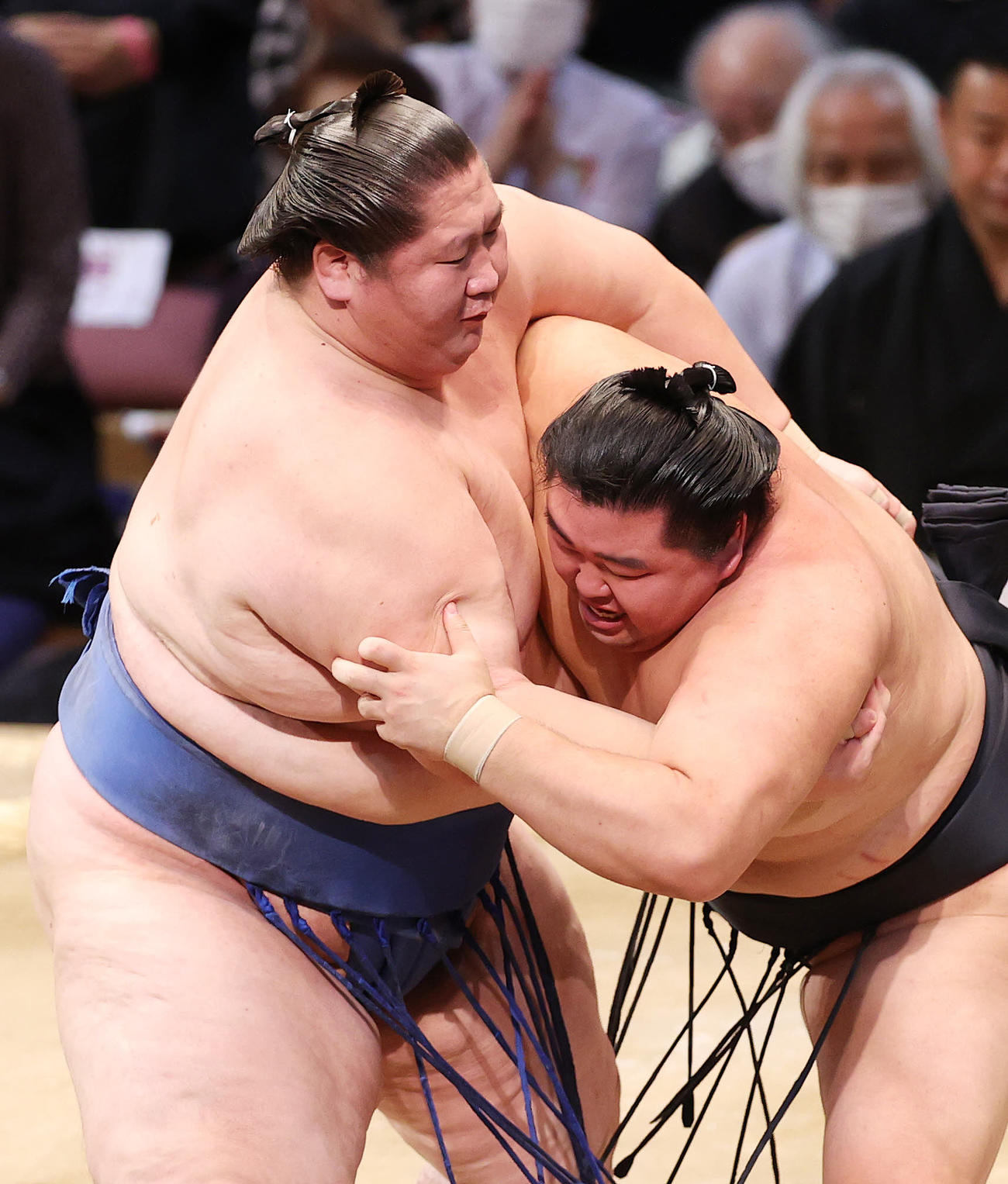 大相撲九州場所　4日目　逸ノ城（左）は大関正代を寄り立てる（2022年11月16日撮影）
