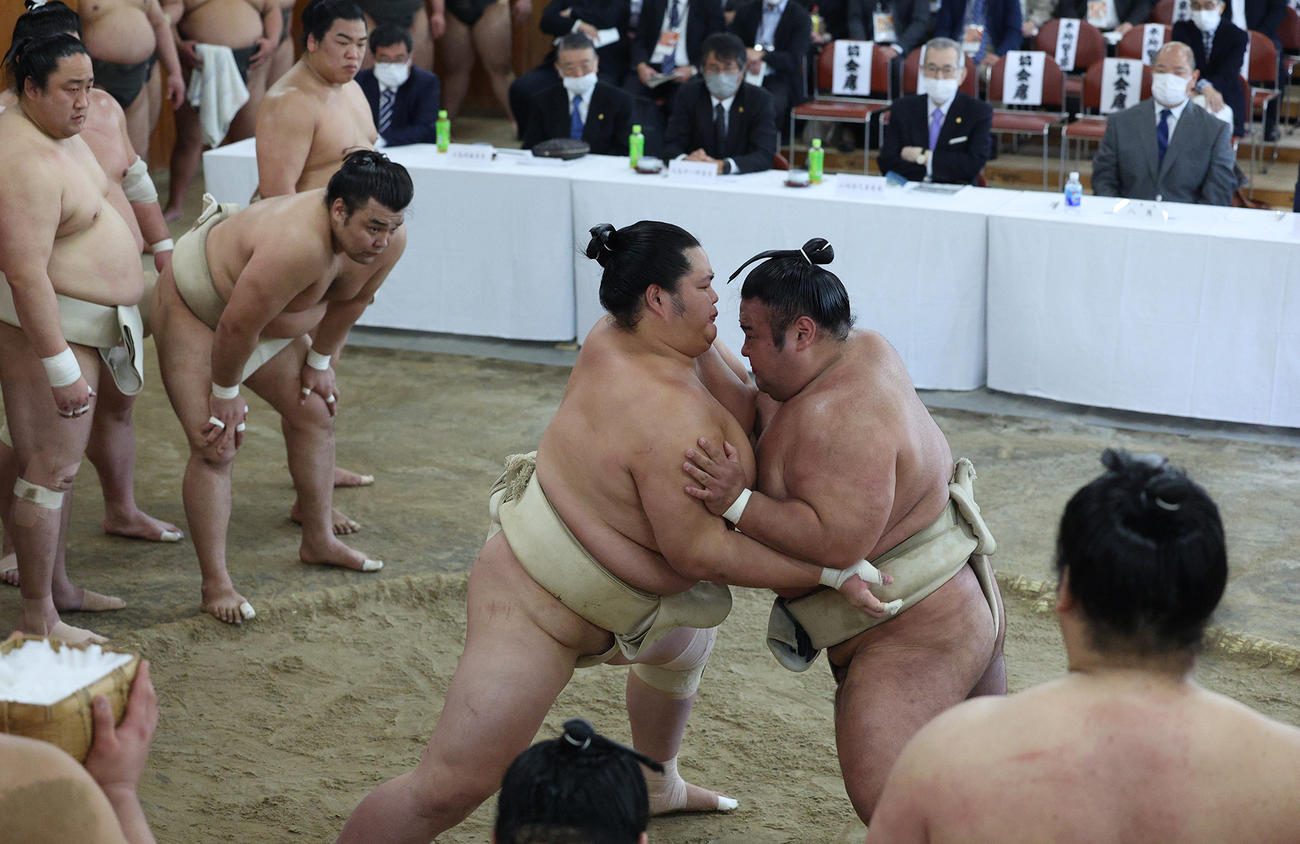 横綱審議委員会による稽古総見　横綱審議委員会の稽古総見で胸を合わせる大関貴景勝（右）（代表撮影）