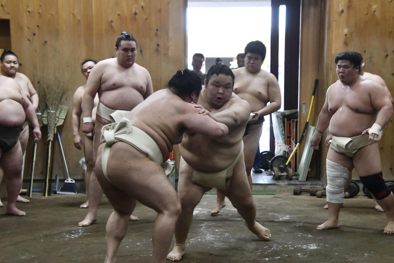 美ノ海と相撲を取る水戸龍（撮影・平山連）