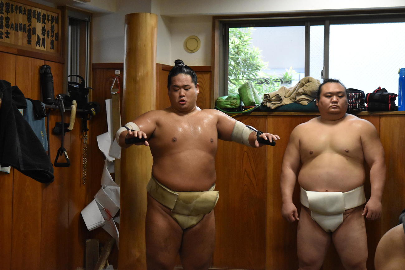 チューブトレーニングをする錦富士。右は宝富士（2022年8月撮影）