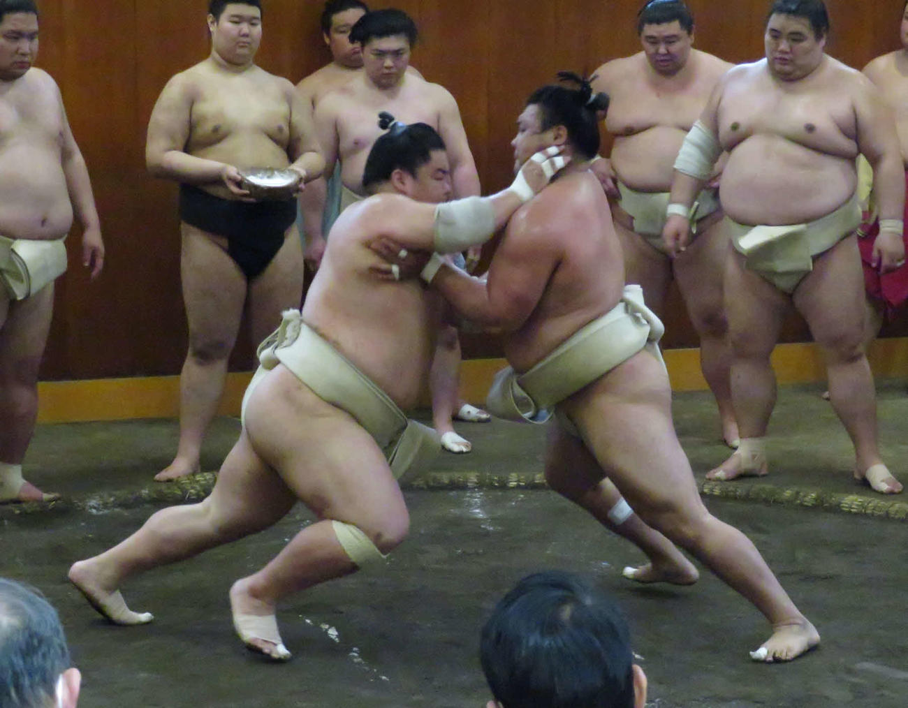 申し合いで大栄翔（手前左）の激しい突き、押しに対抗して押し返す霧馬山（同右）