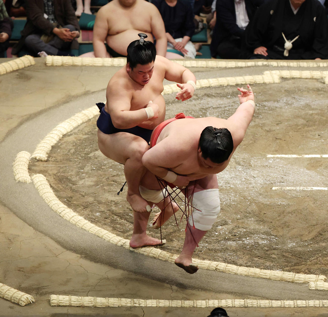 突き落としで阿武咲（右）を破る平戸海（撮影・宮地輝）